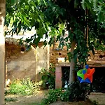 Assut * Xerta