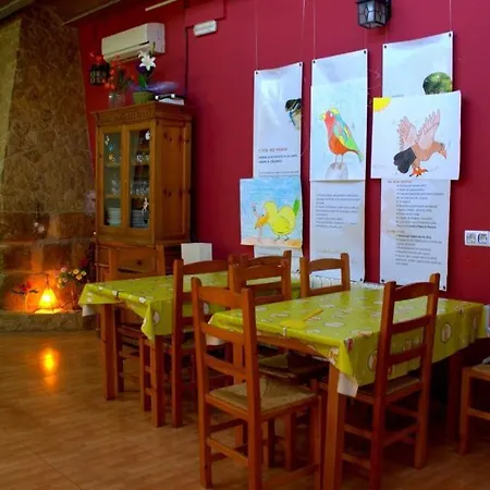 Assut Hostel Xerta