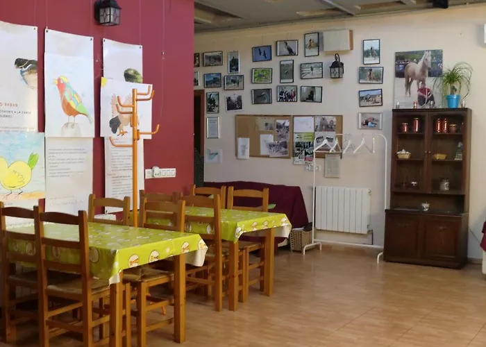 Hostel Assut *